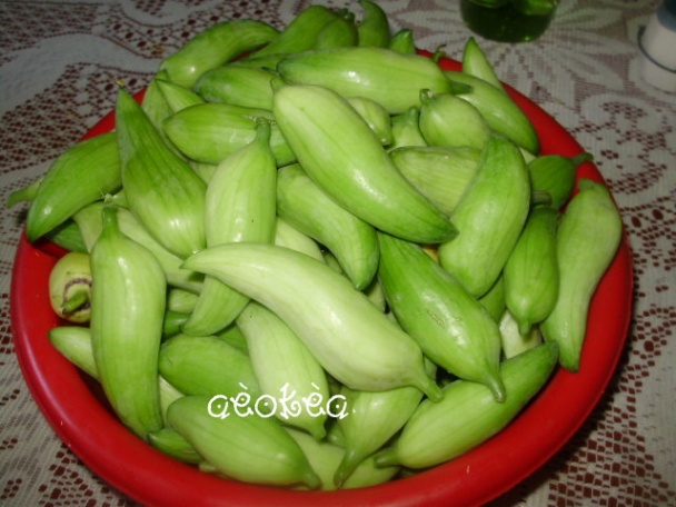 Sterilizovaná ačokča (fotorecept) - obrázok 1