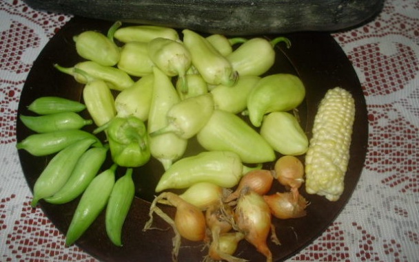 Sterilizovaná ačokča (fotorecept) - obrázok 2