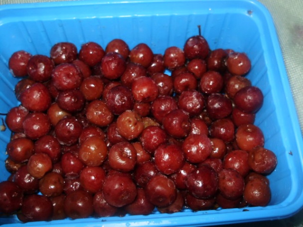 Cannelloni s tvarohom a višňami (fotorecept) - obrázok 2