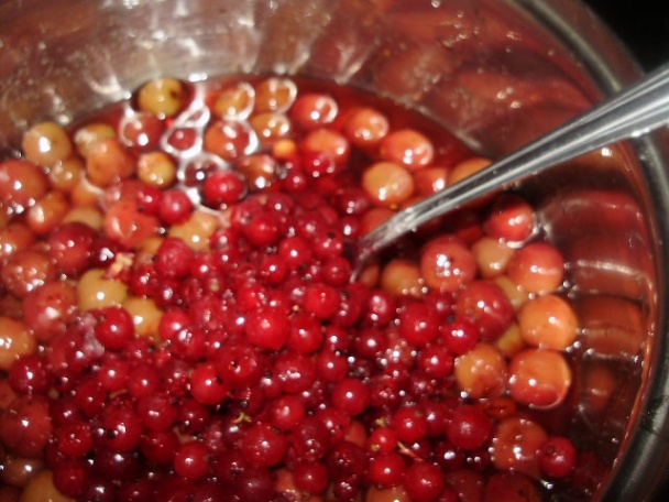 Cannelloni s tvarohom a višňami (fotorecept) - obrázok 4