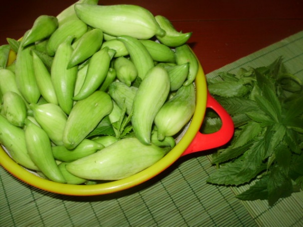 Základ na lečo z ačokči (fotorecept) - obrázok 1