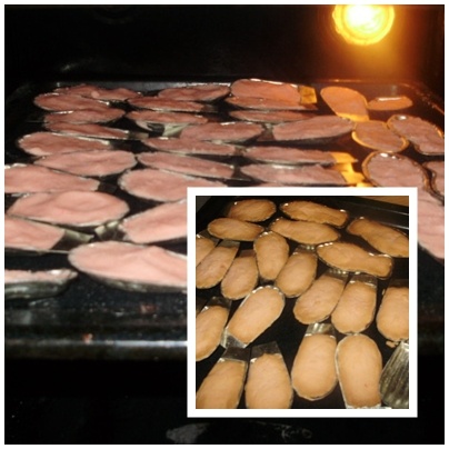 Ružové medvedie labky (fotorecept) - obrázok 8