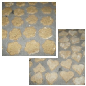 Keksíky pre moje psíky3. (fotorecept) - obrázok 9