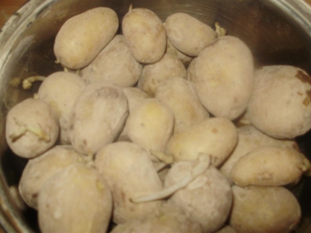 Slivkové knedle a knedle ríbezľové-diétne (fotorecept) - obrázok 1