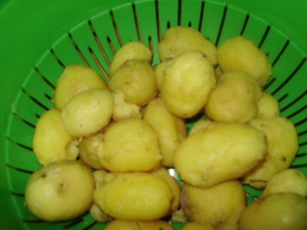 Slivkové knedle a knedle ríbezľové-diétne (fotorecept) - obrázok 2