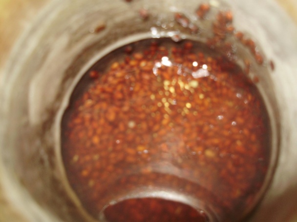 Slivkové knedle a knedle ríbezľové-diétne (fotorecept) - obrázok 10