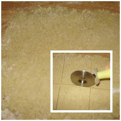 Slivkové knedle a knedle ríbezľové-diétne (fotorecept) - obrázok 12