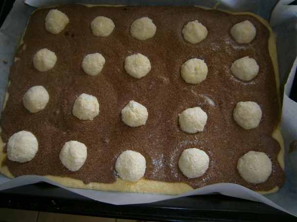 Ranná rosa  (fotorecept) - obrázok 8
