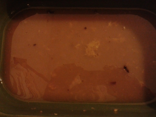 Kuracie prsia s ovocím a zeleninou (fotorecept) - obrázok 5