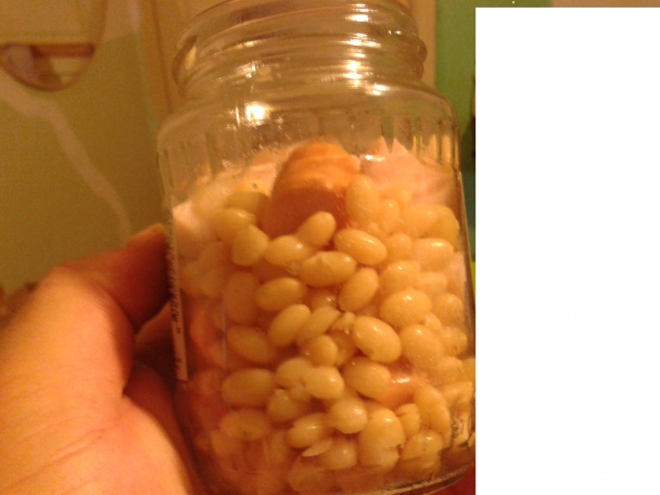 Fazuľa a párky s paprikou a paradajkami (fotorecept) - obrázok 14