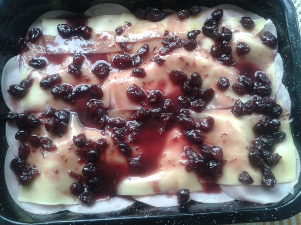 Kuracie prsia s brusnicami (fotorecept) - obrázok 7