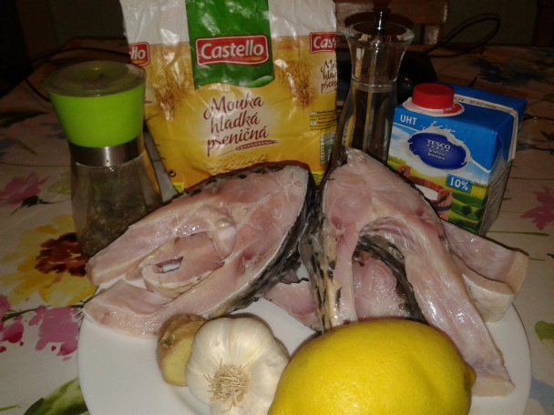 Sviničný kapor (fotorecept) - obrázok 2