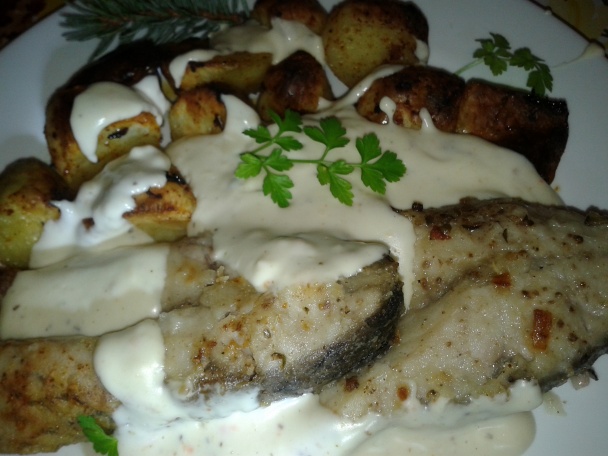 Sviničný kapor (fotorecept) - obrázok 9