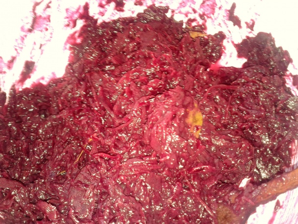 Kačacia pečeň s červenou kapustou a lokšou (fotorecept) - obrázok 4