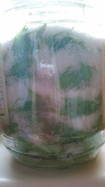 Domáci sirup proti kašľu - obrázok 2