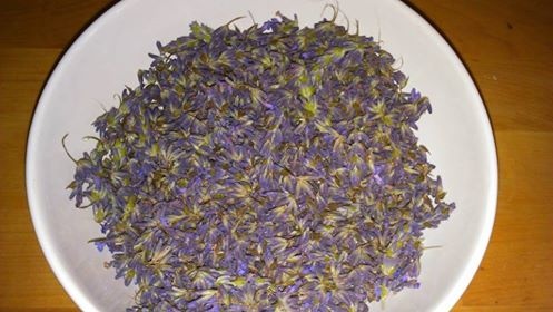 Levanduľový sirup - obrázok 1