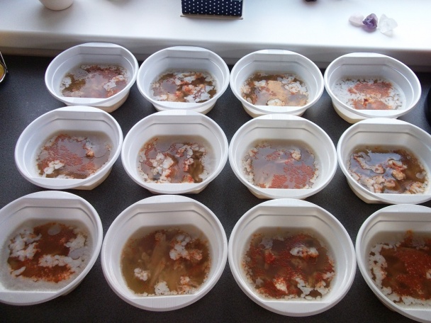 Domáca huspenina (fotorecept) - obrázok 8