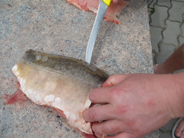 Vyprážané filety z kapra, podrobný návod na filetovanie rýb (fotorecept) - obrázok 1