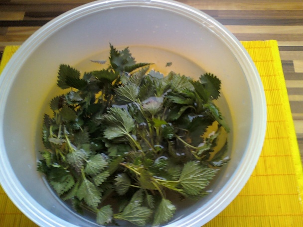 Žihľavový-pŕhľavový sirup  - obrázok 1