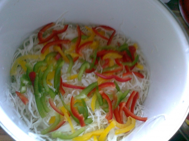 Kapusta na chvíľu - obrázok 1