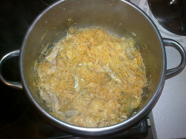 Segedín narýchlo - obrázok 1