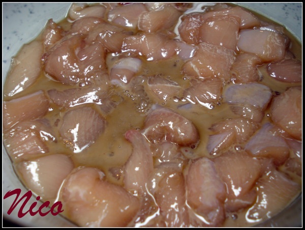 Kura Gong-Bao (fotorecept) - obrázok 3