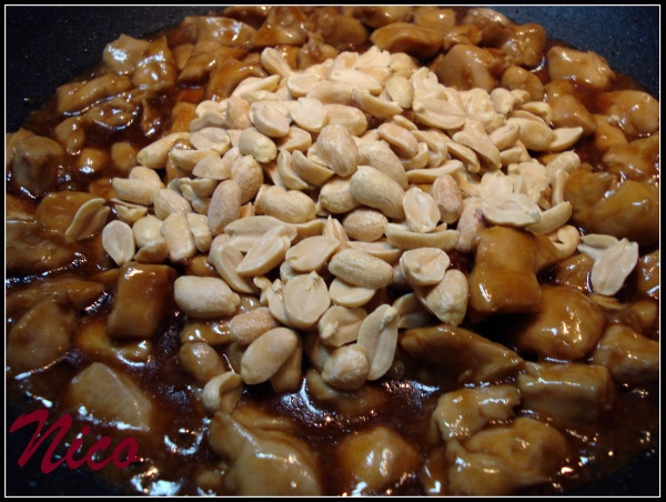 Kura Gong-Bao (fotorecept) - obrázok 7
