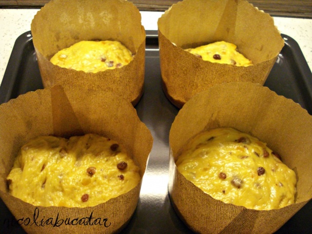 Panettone (fotorecept) - obrázok 7