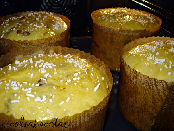 Panettone (fotorecept) - obrázok 8