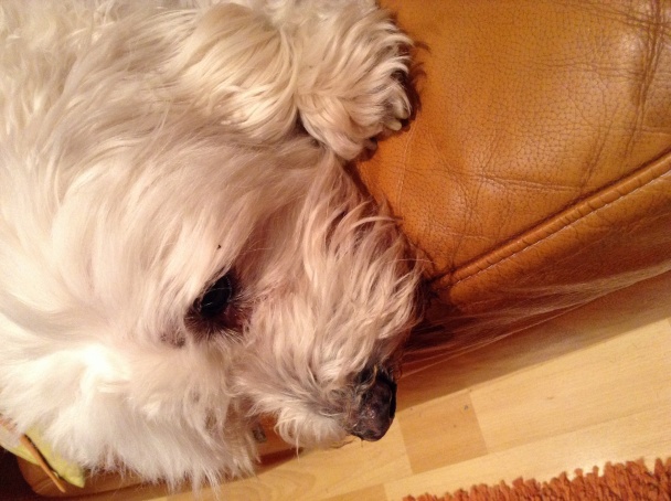 Dezert možno suflé zo sladkého zemiaka (fotopostup) - obrázok 8