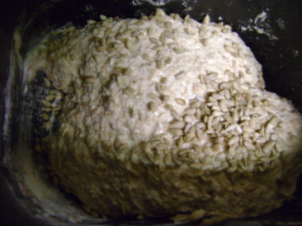 Chleba s jablčnou vlákninou (fotorecept) - obrázok 2