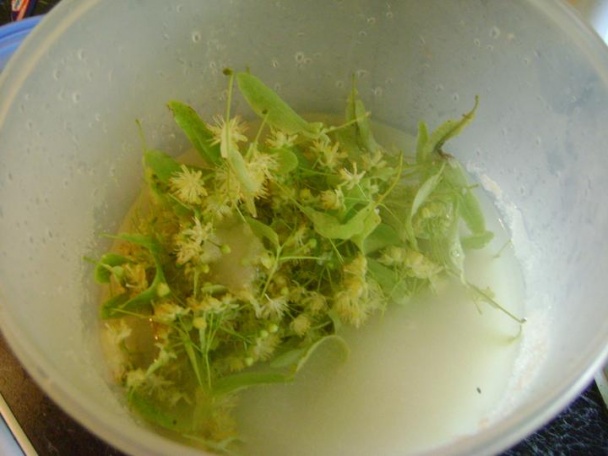 Lipový sirup - obrázok 1