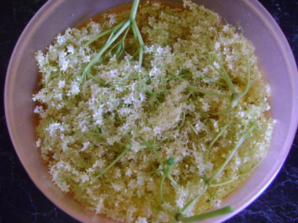 Bazové želé (fotorecept) - obrázok 2