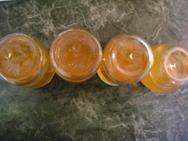 Bazové želé (fotorecept) - obrázok 4