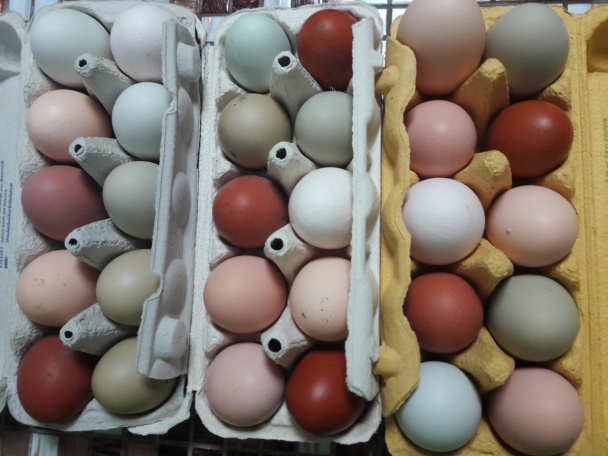 60-sekundová mrvenička (fotorecept) - obrázok 5