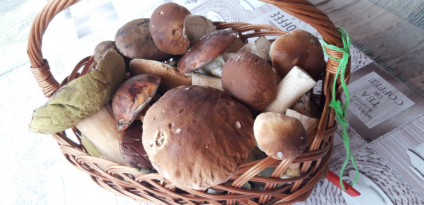 Dubáková nátierka na zimu (fotorecept) - obrázok 1