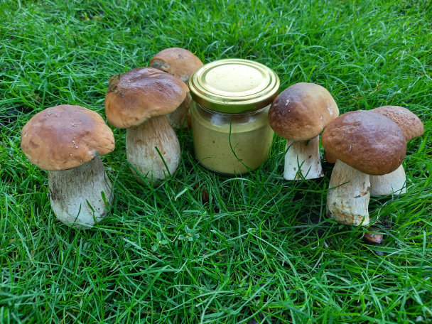 Dubáková nátierka na zimu (fotorecept) - obrázok 4