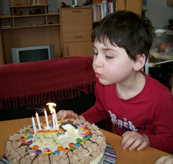 Maková torta (fotorecept) - obrázok 7