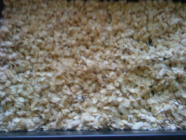 Domáca granola (fotorecept) - obrázok 2