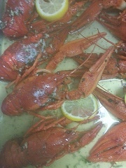 Voňavé raky - obrázok 2