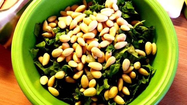 Rukolové pesto s jarnou cibuľkou - obrázok 1