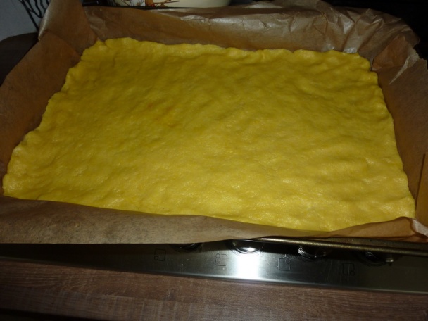 Čučoriedkový rozmar (fotorecept) - obrázok 1