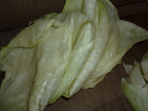 Pečené holubky s kapustou (fotorecept) - obrázok 2