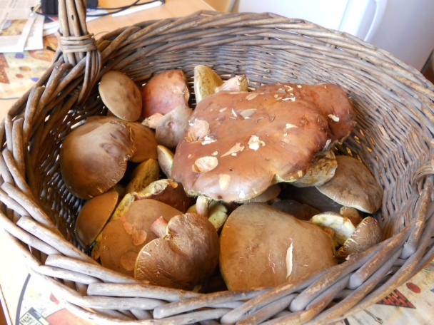 Huby vo vlastnej šťave (fotorecept) - obrázok 1