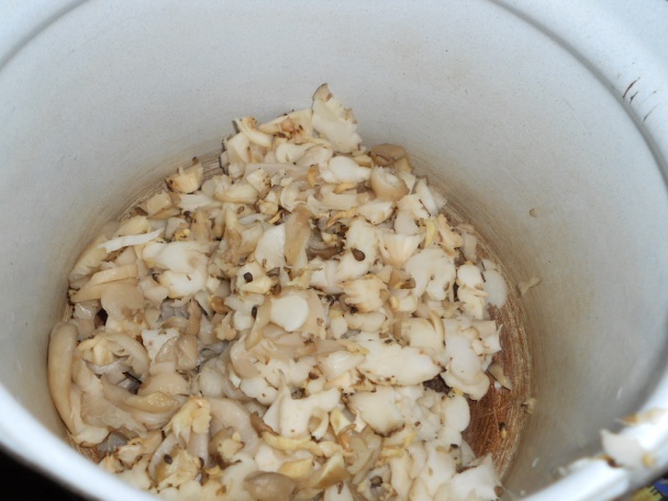 Falošná držková polievka - obrázok 1