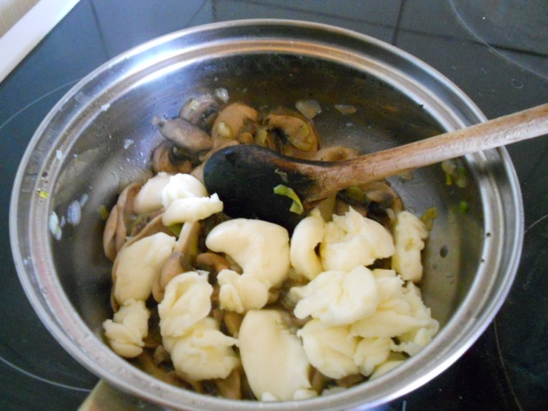 Hermelín s hubami (fotorecept) - obrázok 4