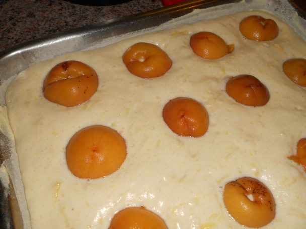 Zemiakový koláč s marhuľami - obrázok 5