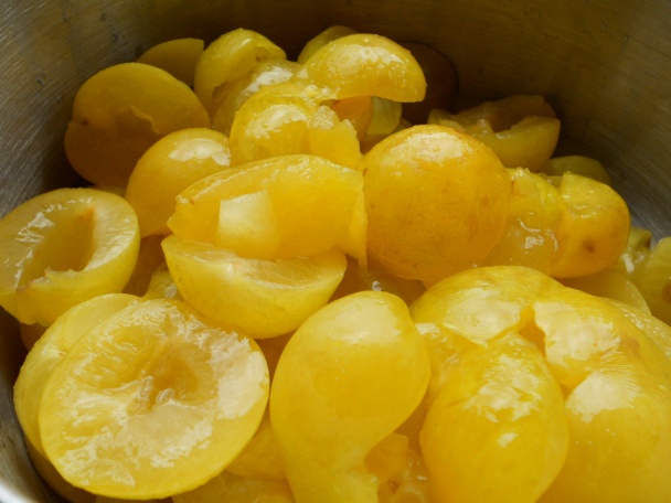 Džem zo žltých blum-sliviek - obrázok 1