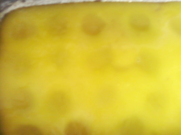 Dobrý ovocný koláč mojej mamy s želé na povrchu (fotorecept) - obrázok 5