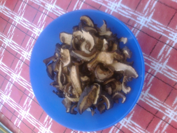 Výborná fazuľovica (fotorecept) - obrázok 5